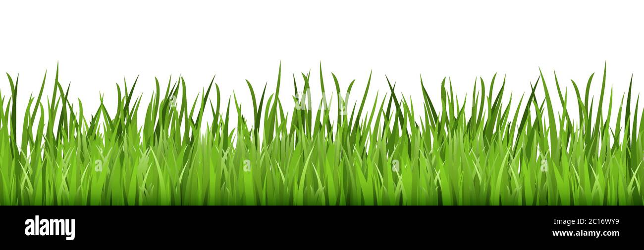 eps vector background template archivo de panorama perfecto verde verano hierba en la parte inferior para los diseños de verano o primavera Ilustración del Vector