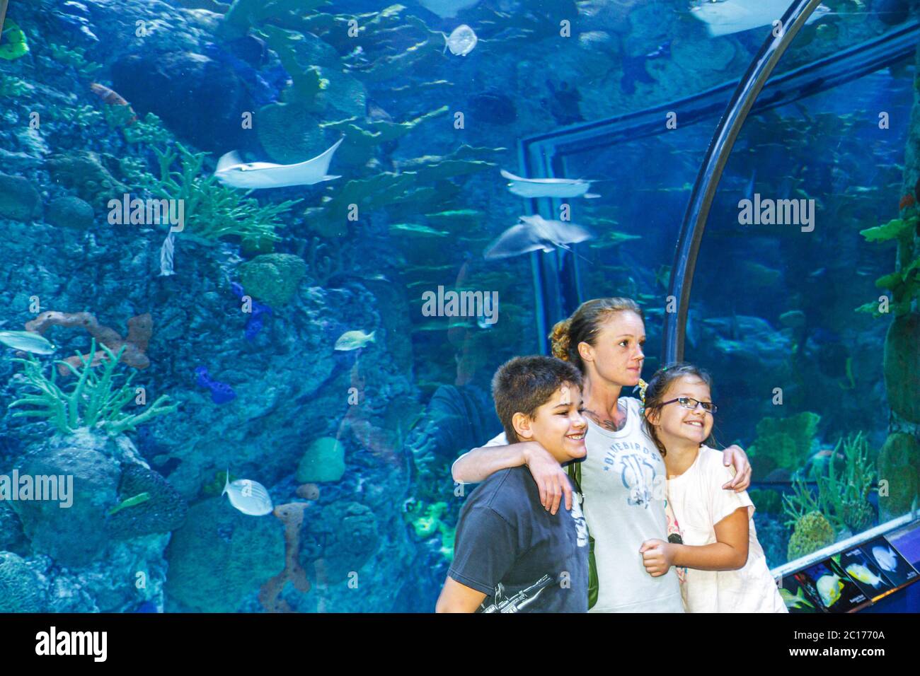 New Orleans Louisiana, Woldenberg River Waterfront Park, Audubon Aquarium of the Americas, investigación, conservación, vida acuática, exposición marina, u Foto de stock