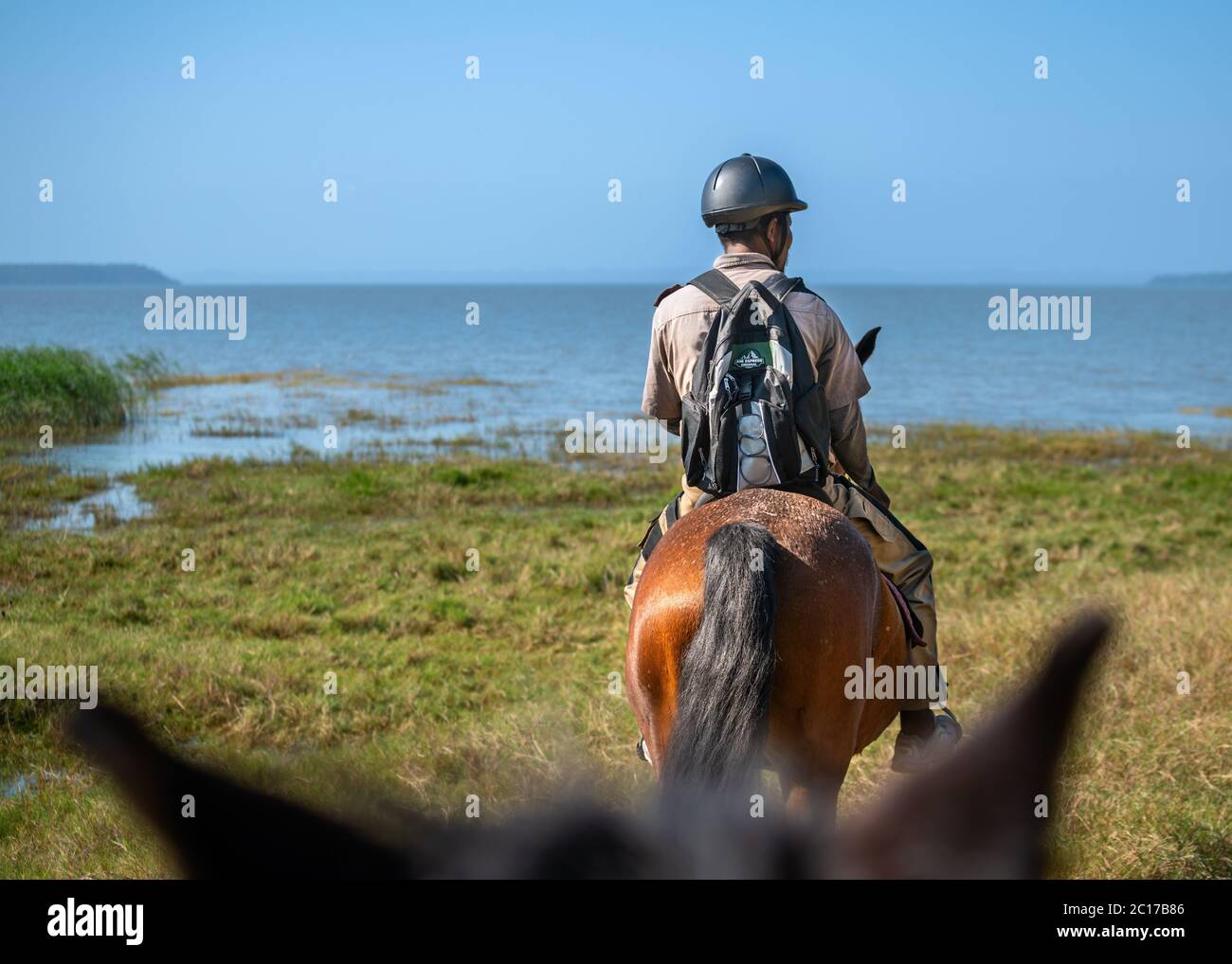 Safari a caballo en Sudáfrica Foto de stock