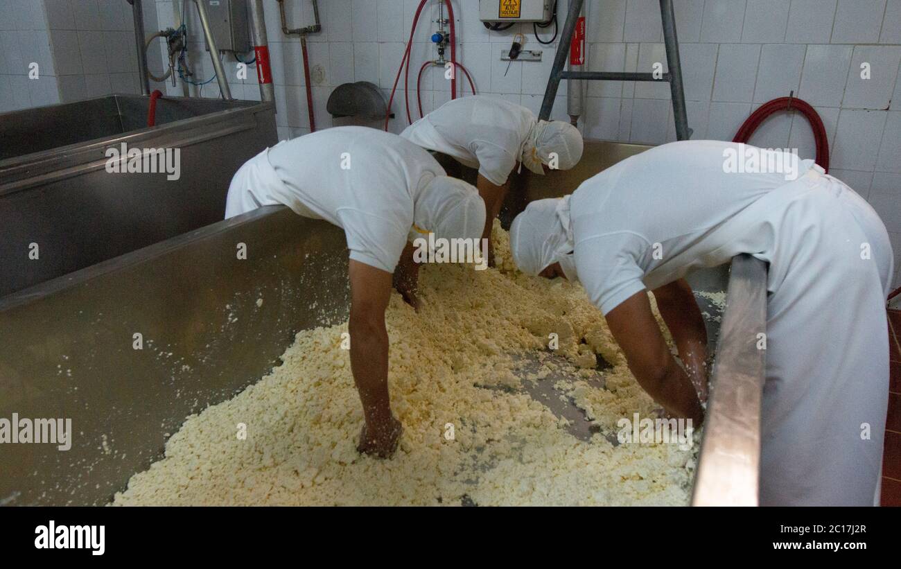 Zuleta, Imbabura / Ecuador - 9 de noviembre de 2018: Trabajadores que toman el queso crudo del tanque para colocarlo en los moldes metálicos. Proceso de fabricación de queso Foto de stock
