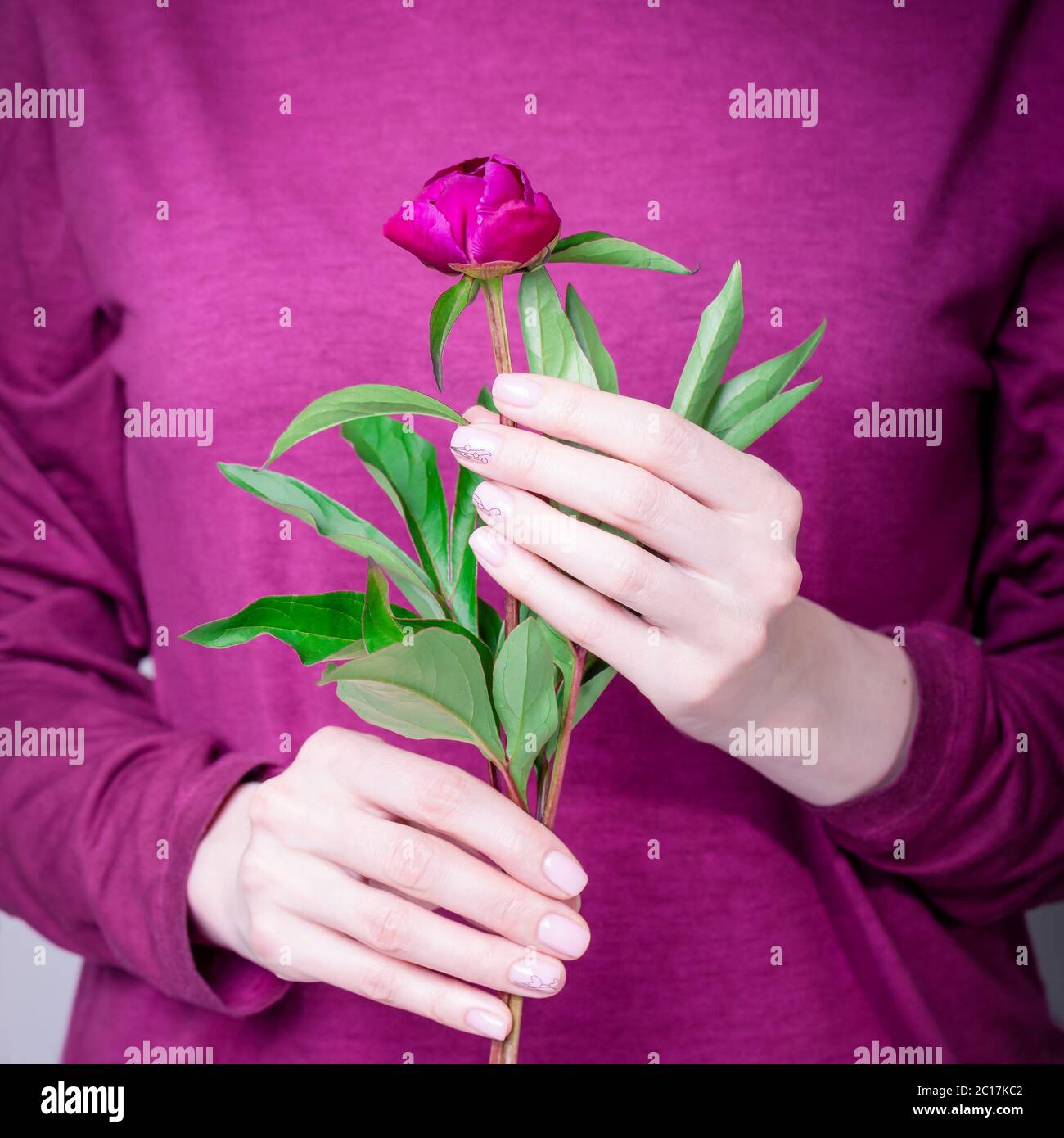 Hermosas manos femeninas sosteniendo flor de peonía borgoña en marsala  color vestido fondo. Manicura con esmalte de uñas de color rosa con patrón  floral Fotografía de stock - Alamy