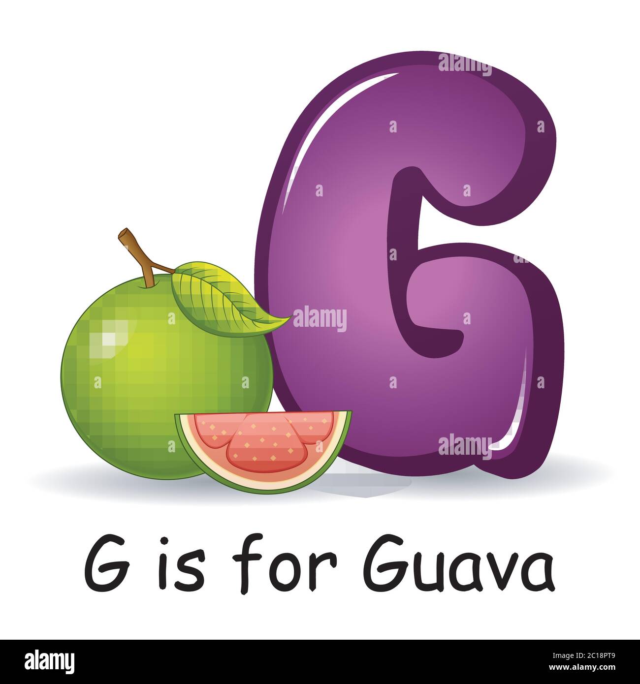 Alfabeto de fruta G es para guayaba Imagen Vector de stock Alamy Alfabeto de fruta G es para guayaba Imagen Vector de stock Alamy