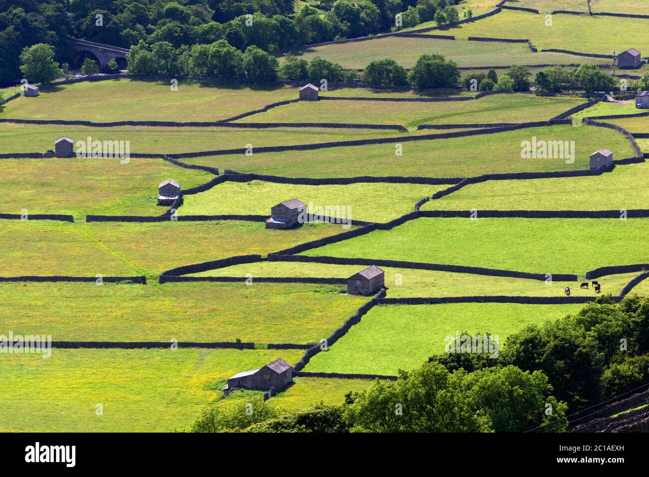 Muros de piedra seca y graneros en Swaledale, Gunnerside, Yorkshire Dales National Park, North Yorkshire, Inglaterra, Reino Unido, Europa Foto de stock