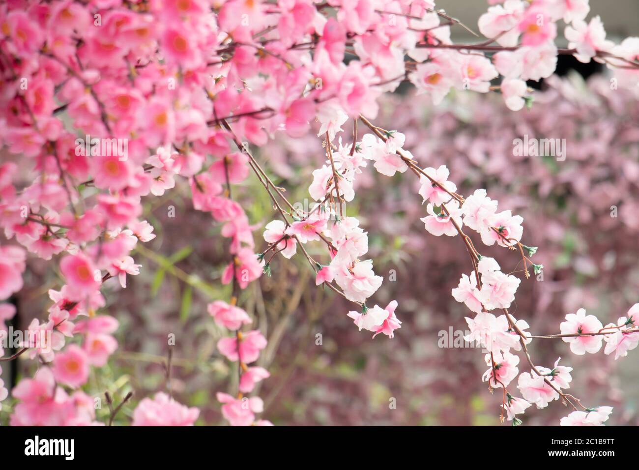 Arbusto de flores artificiales de color rosa falso florecen en un árbol, detalle Foto de stock