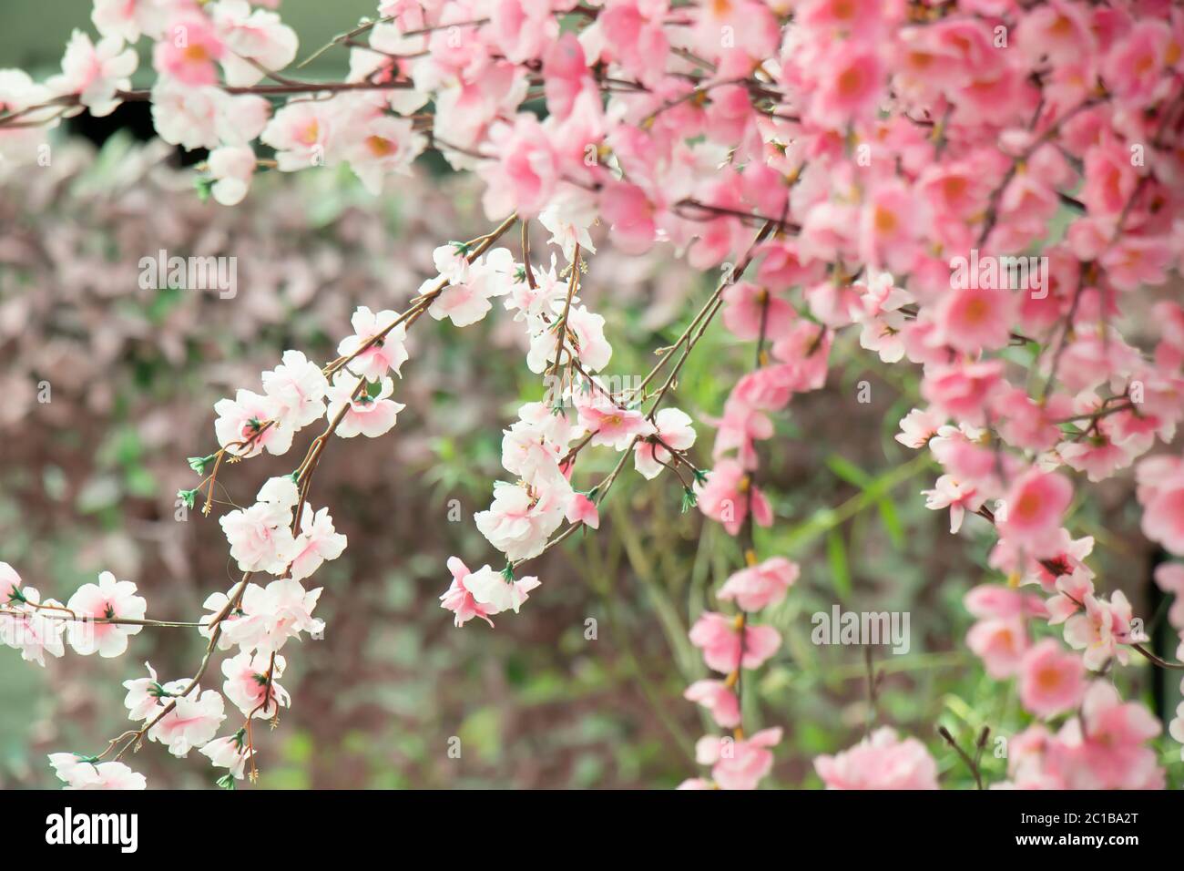 Arbusto de flores artificiales de color rosa falso florecen en un árbol, detalle Foto de stock