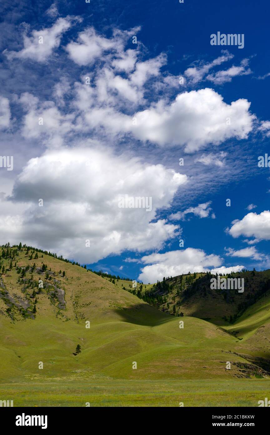 Estados Unidos, Montana, Big Sky cerca de Lewistown Foto de stock