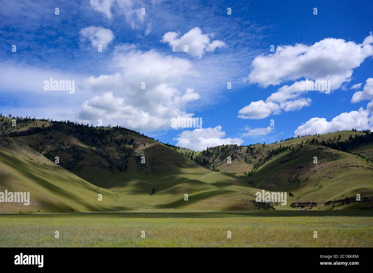 Estados Unidos, Montana, Central, colinas y el cinturón grande del naer del cielo Foto de stock