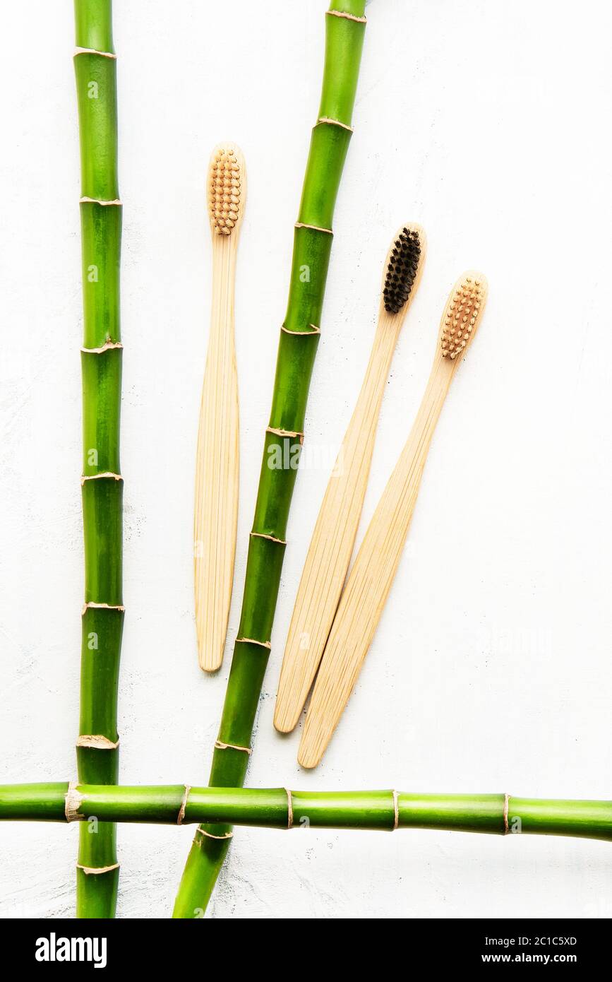 Composición plana con cepillos de dientes de bambú ecológicos y rama de bambú sobre fondo blanco. Concepto de cero residuos. Vista superior, espacio de copia Foto de stock