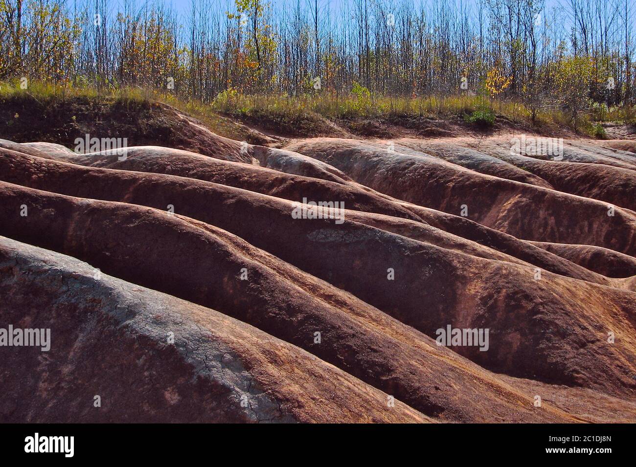 El Cheltenham Badlands en otoño. “Badlands” es un término geológico para una zona de roca blanda desprovista de vegetación y cubierta de suelo. Foto de stock