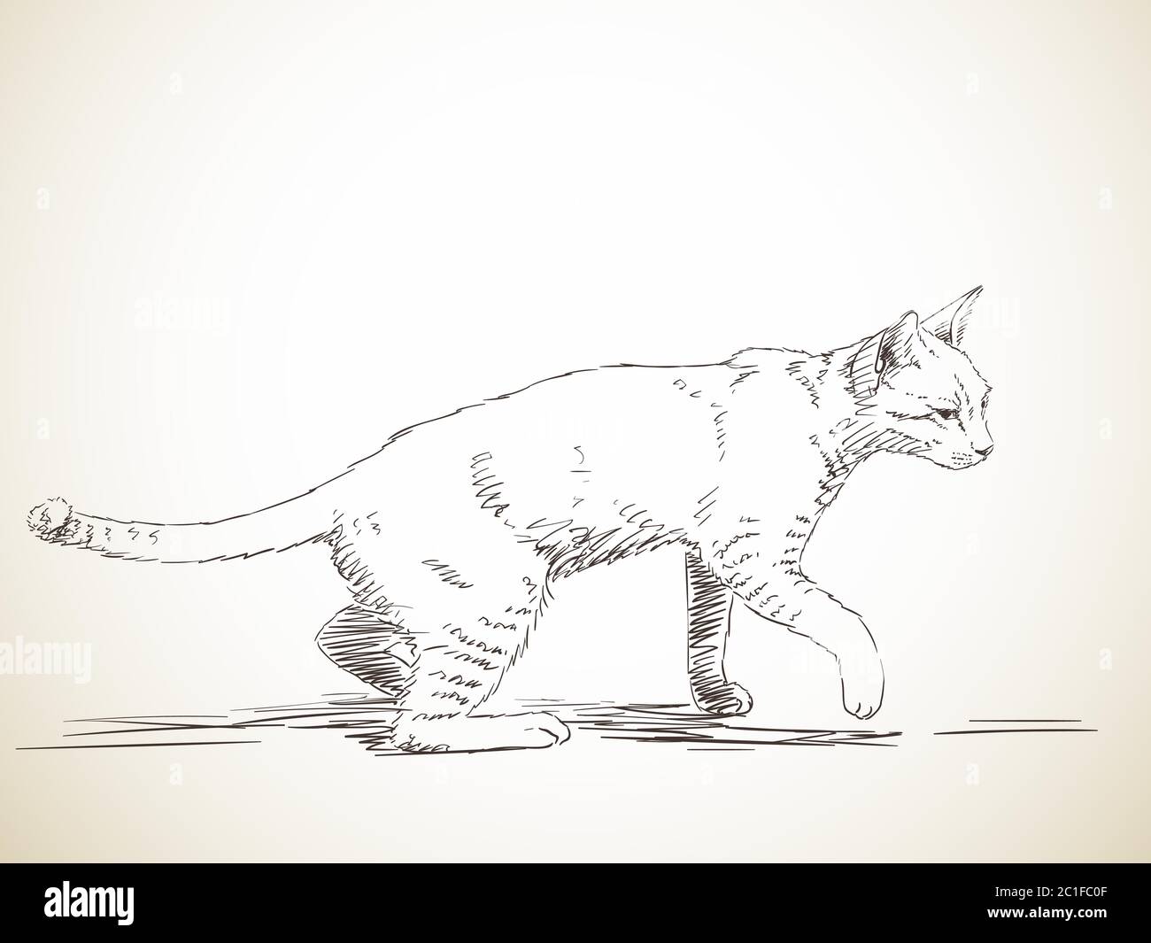 Dibujo de gato caminando en perfil, dibujo a mano Imagen Vector de stock -  Alamy