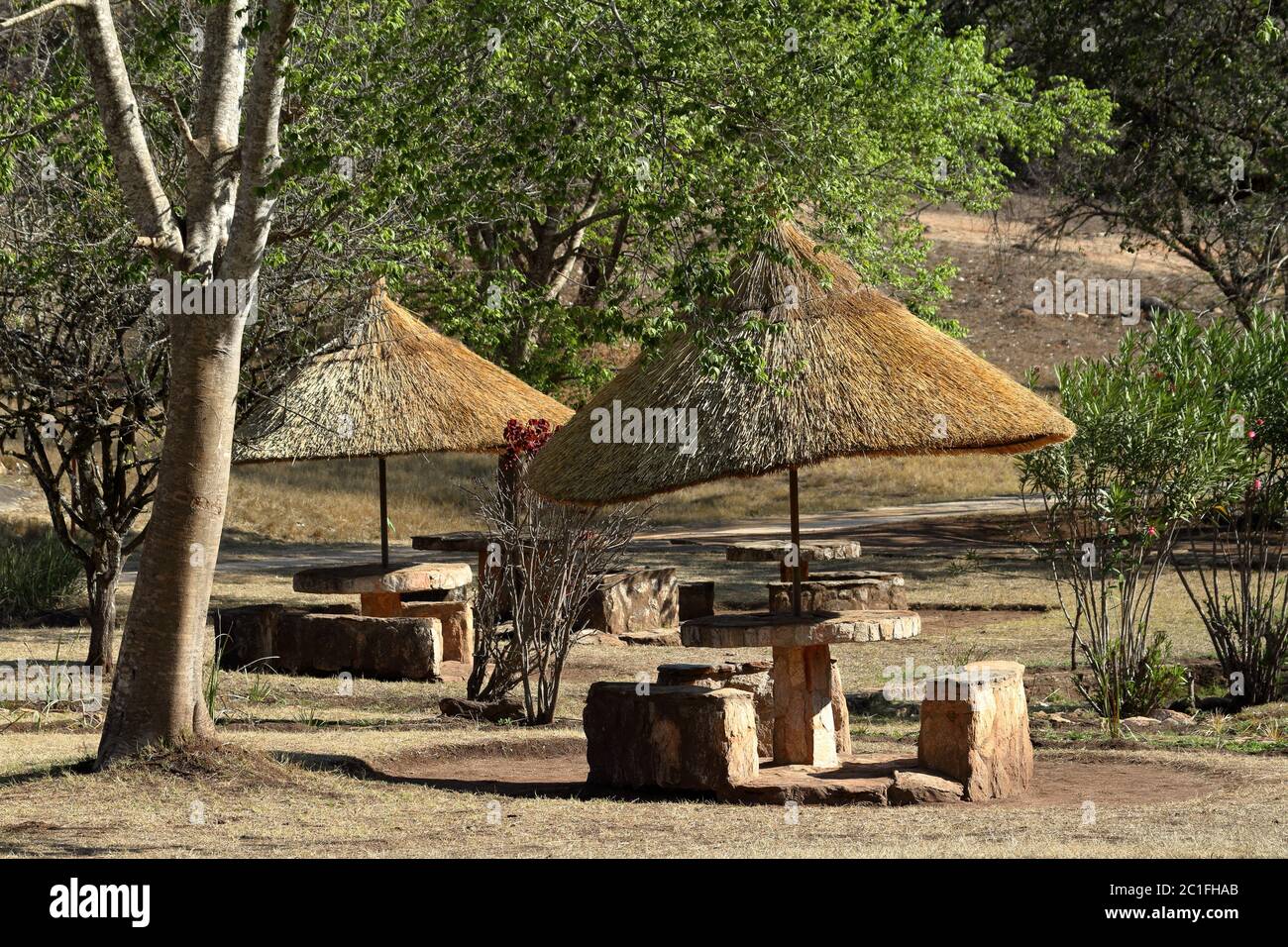 Parasoles en el lugar de descanso en Zimbabwe Foto de stock