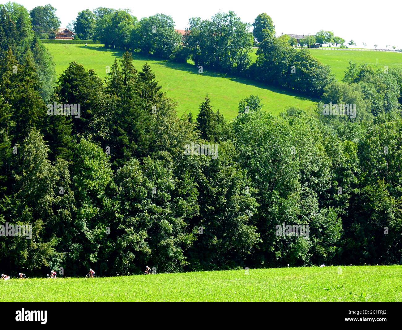 Paisaje del sur de alemania con suaves colinas de árboles y prados Foto de stock