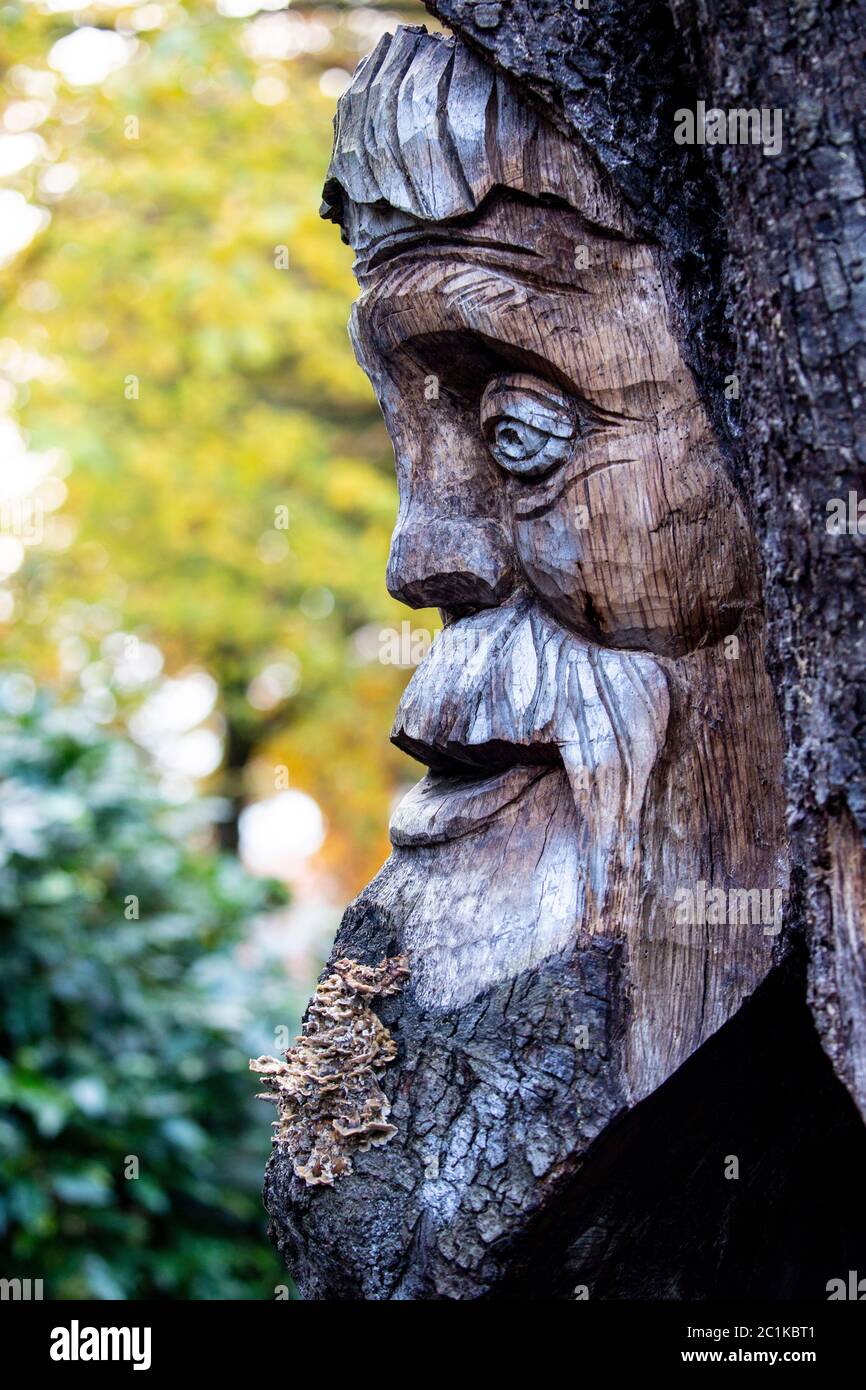 Cabeza tallada de madera en un árbol Stump Foto de stock