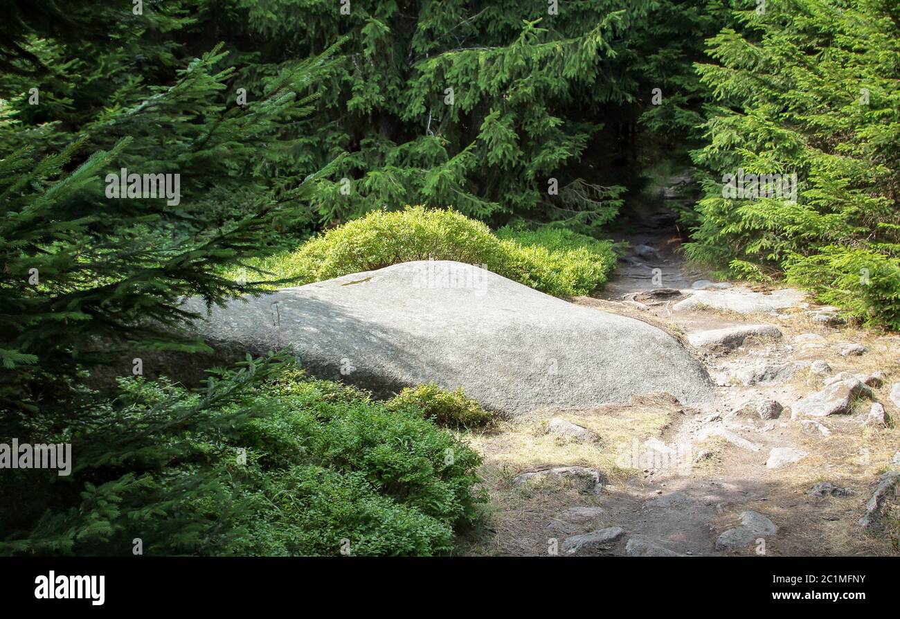 Este es un paisaje en el Harz con rocas y árboles Foto de stock