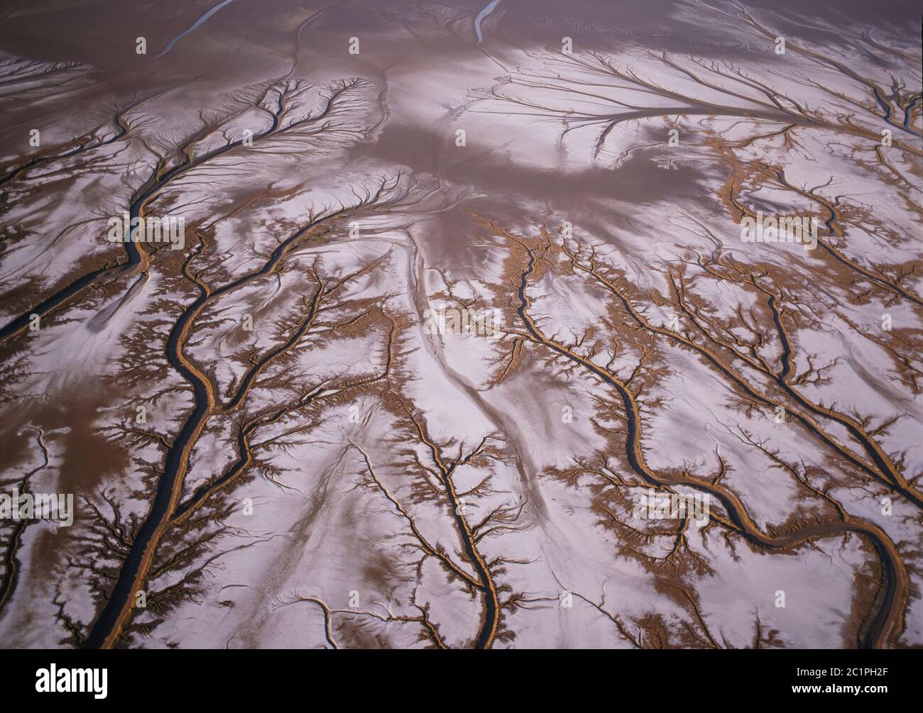 Golfo alto y Reserva de la Biosfera del Delta de Colorado México / FEB Vista aérea de los afluentes intrincados en las marismas del Delta de Colorado. Foto de stock