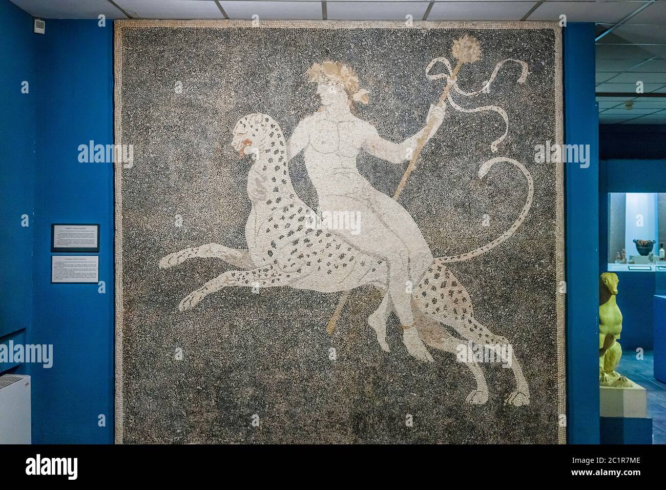 Mosaico de Dionysos, Museo Arqueológico de Pella, Pella, Macedonia Central, Grecia, Europa Foto de stock