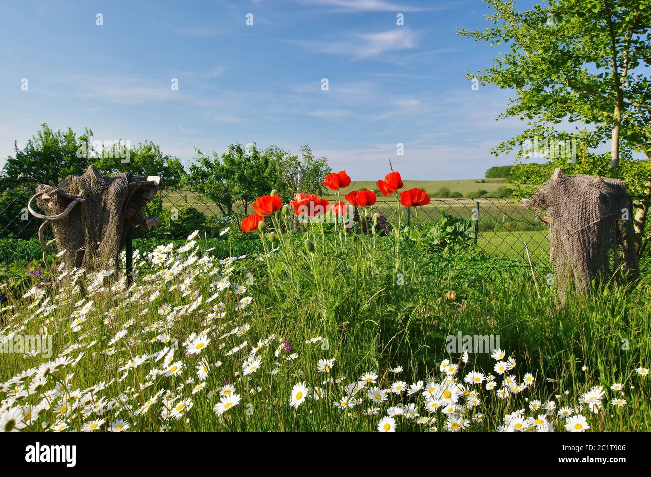 Jardín en el pueblo de Neu Reddevitz, Isla de Rügen, Alemania, Europa Occidental Foto de stock