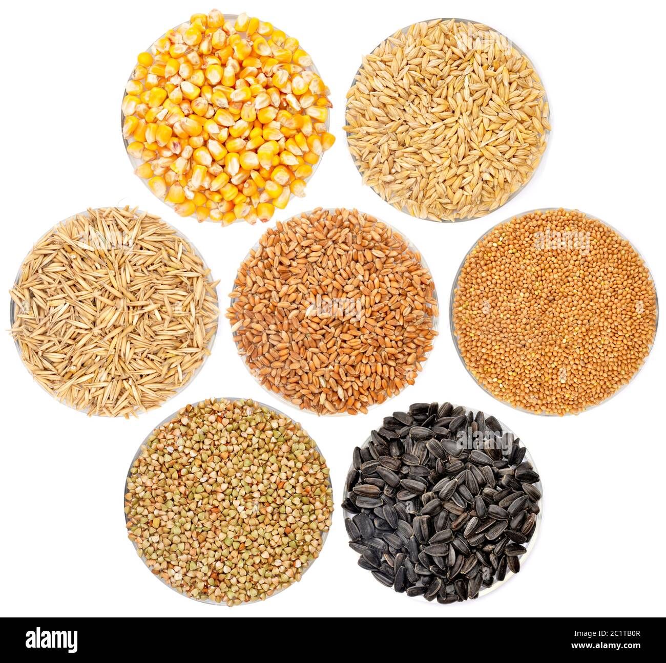 Cereales y alimentos básicos básicos básicos Fotografía de stock - Alamy