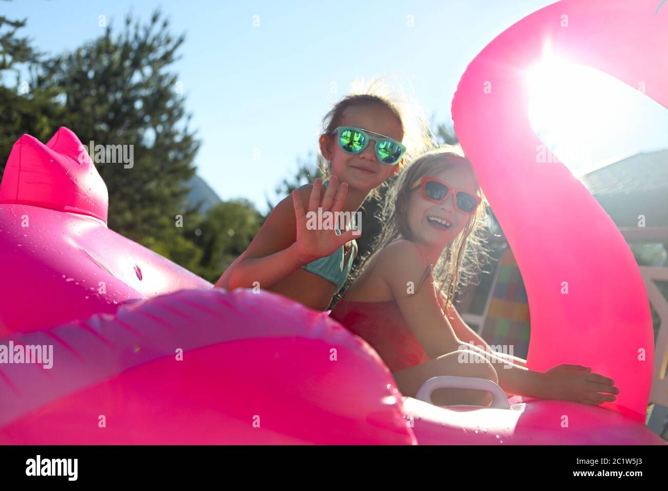 Retrato de dos chicas con gafas de sol, felices amigas en flamígen inflable Foto de stock
