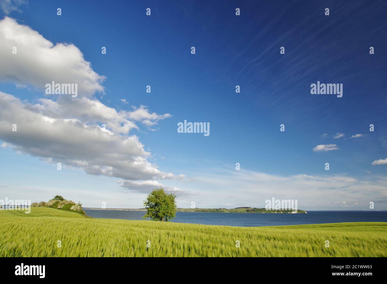 'Reedeviczer Höft', dirección 'Zickersches Höft', Mönchgut, Isla de Rügen, Alemania Foto de stock