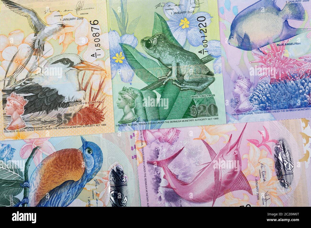 Dólar Bermudiano Un fondo Fotografía de stock - Alamy