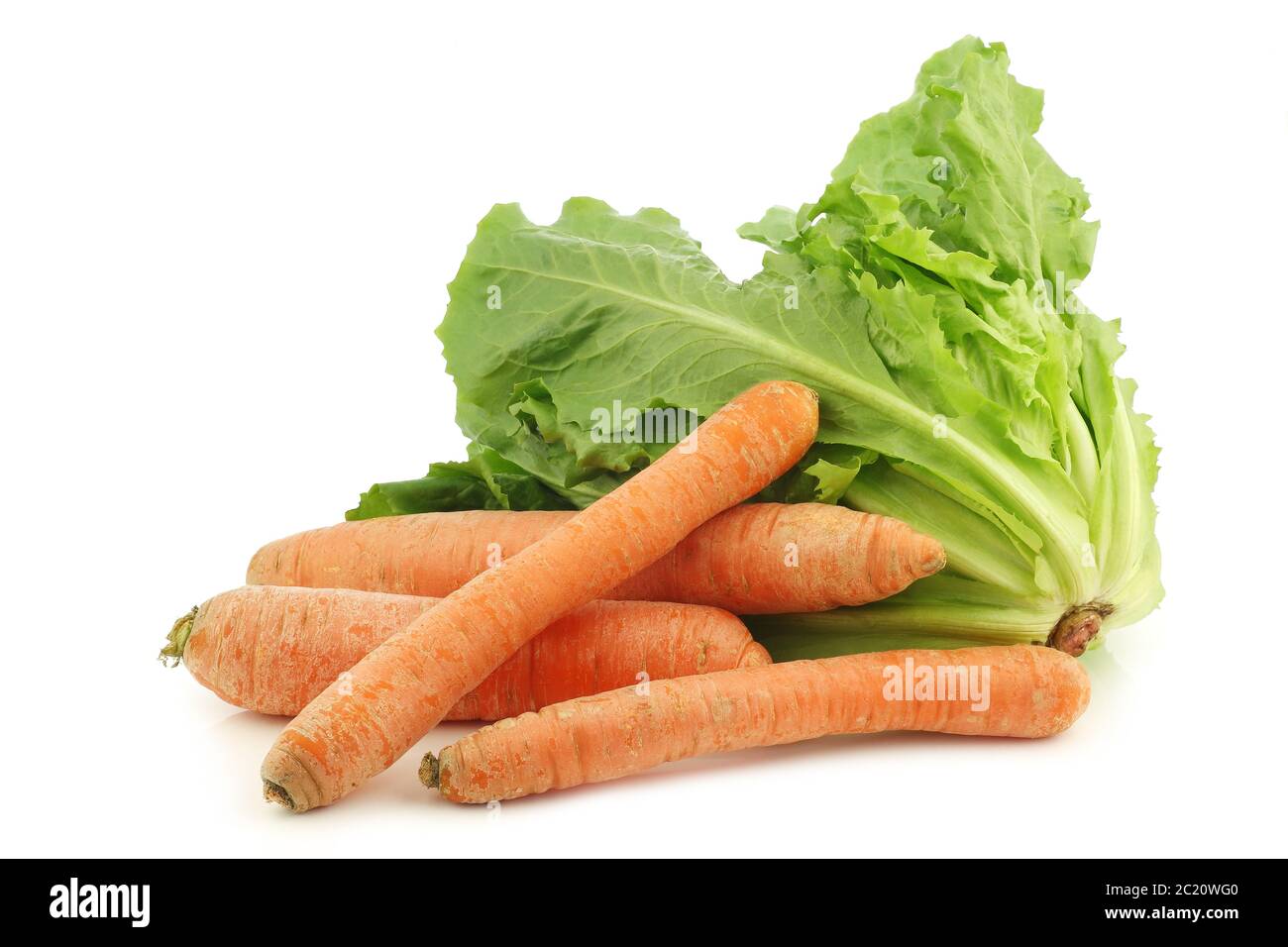 Endibia fresca y algunas verduras de invierno sobre un fondo blanco Foto de stock