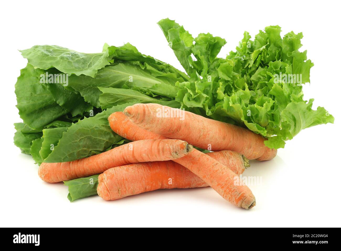 Endibia fresca y algunas verduras de invierno sobre un fondo blanco Foto de stock