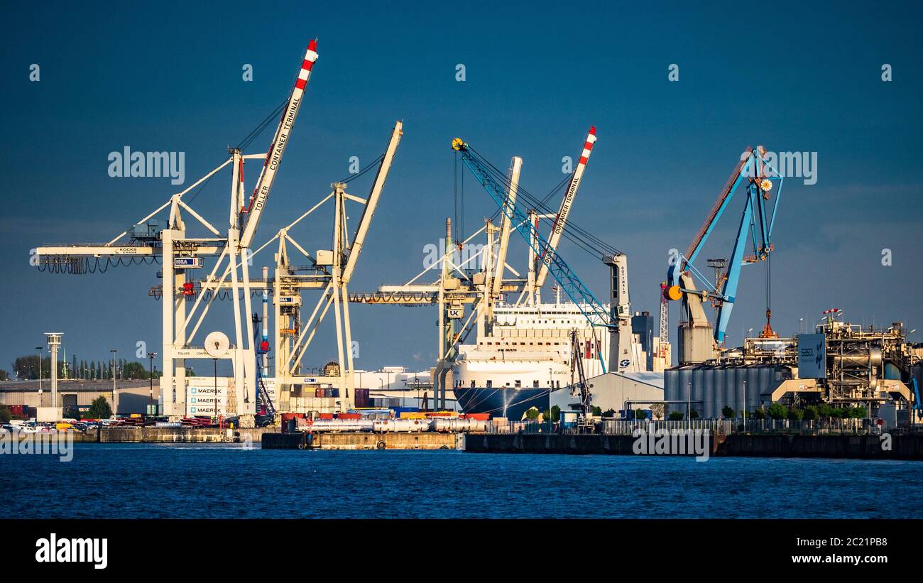 Puerto de Hamburgo, Hamburgo Docks - RoRo Container Ship Atlantic Sail en el puerto de Hamburgo es el puerto más grande de Alemania y el tercer mayor de Europa. Foto de stock