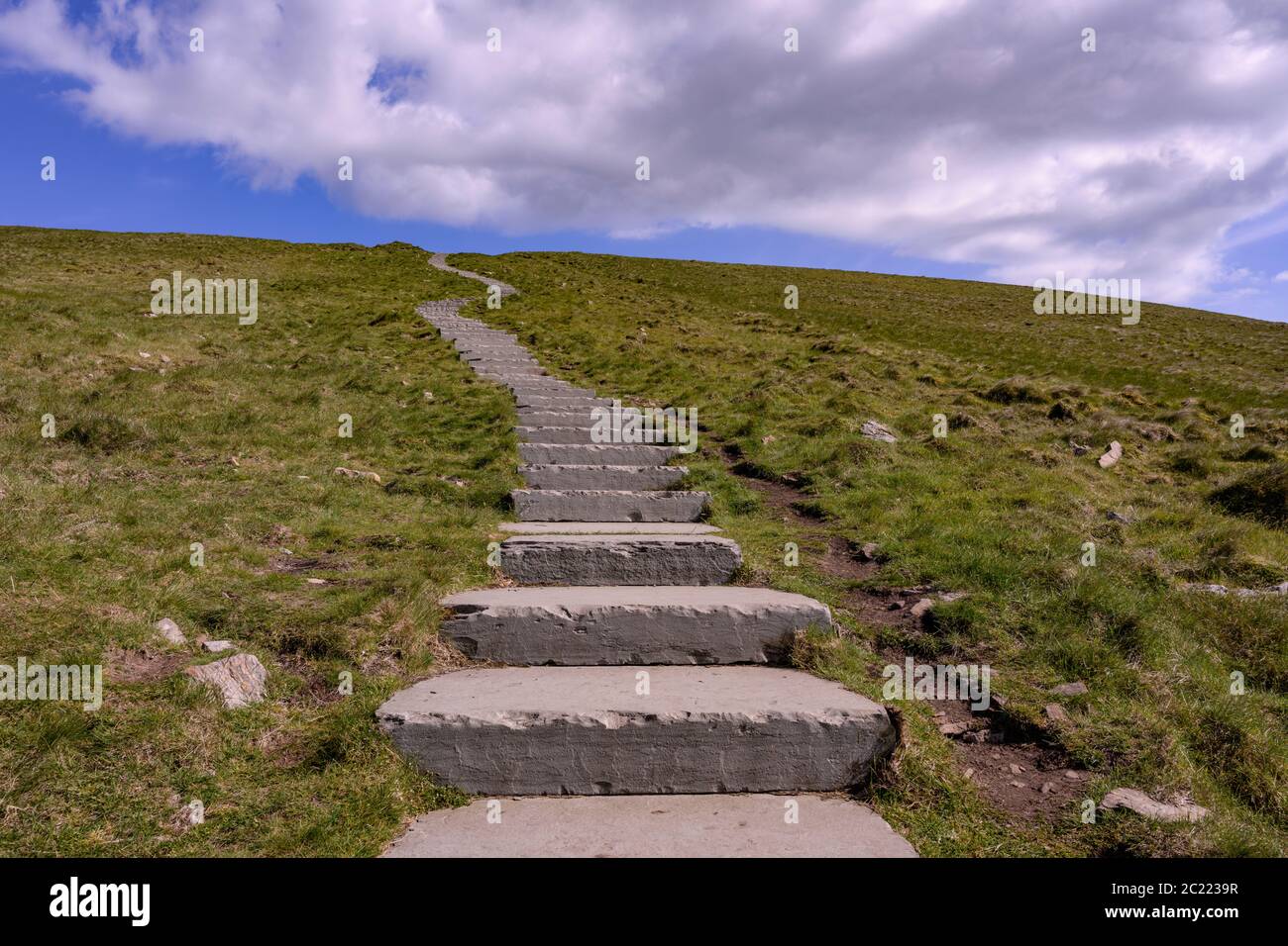 Pasos a la Cumbre de Pen-y-ghent, Yorkshire Dales Foto de stock