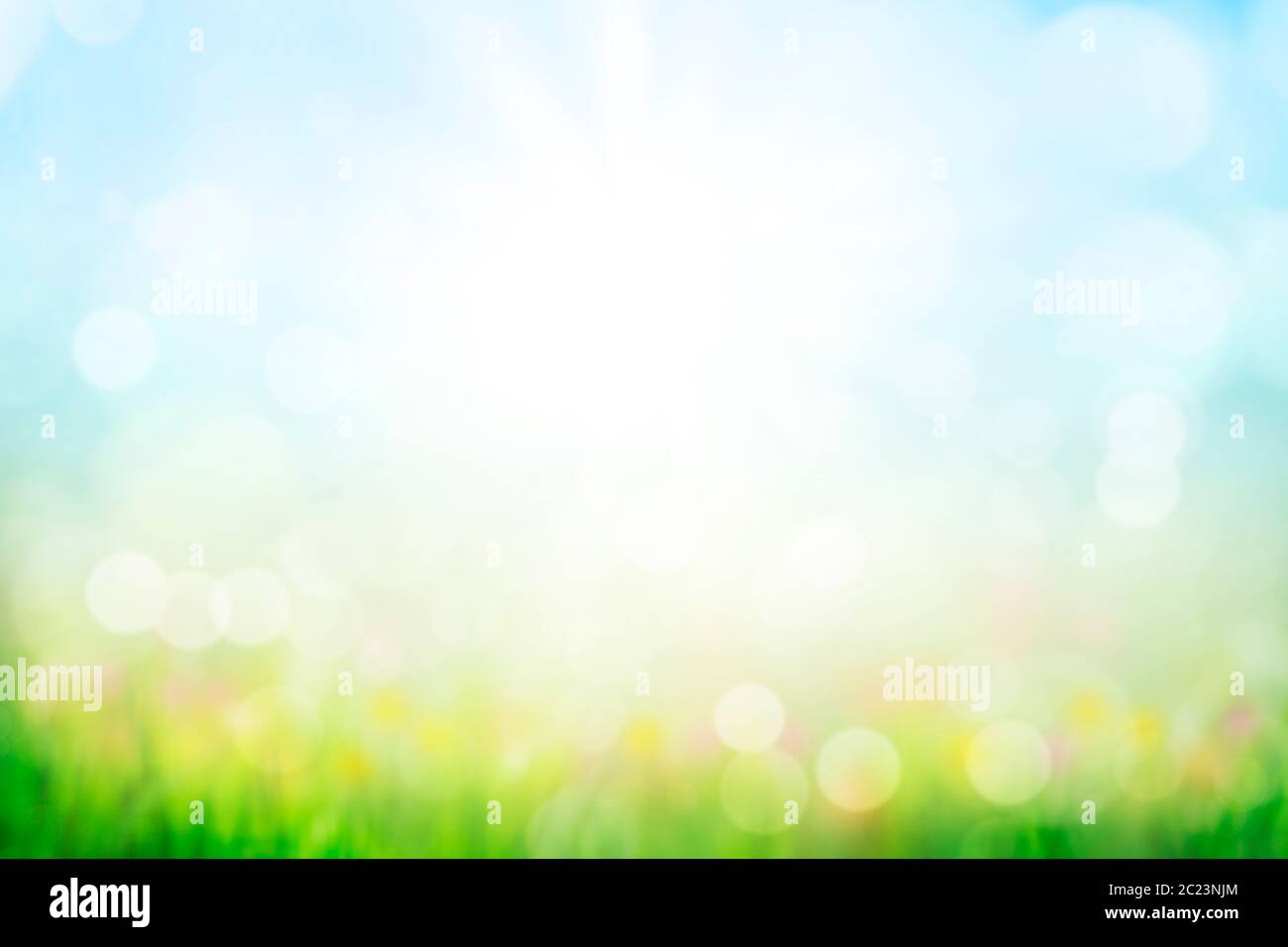 fondo abstracto con césped verde y flores sobre cielo azul soleado Foto de stock