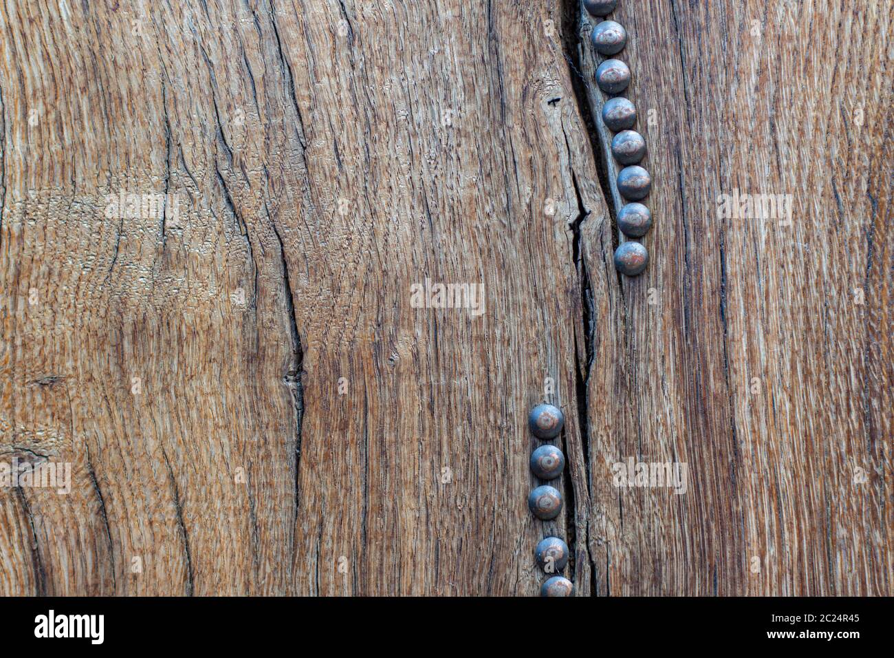 Primer plano de textura de madera antigua con gran patrón de clavos de cabeza redonda de metal Foto de stock