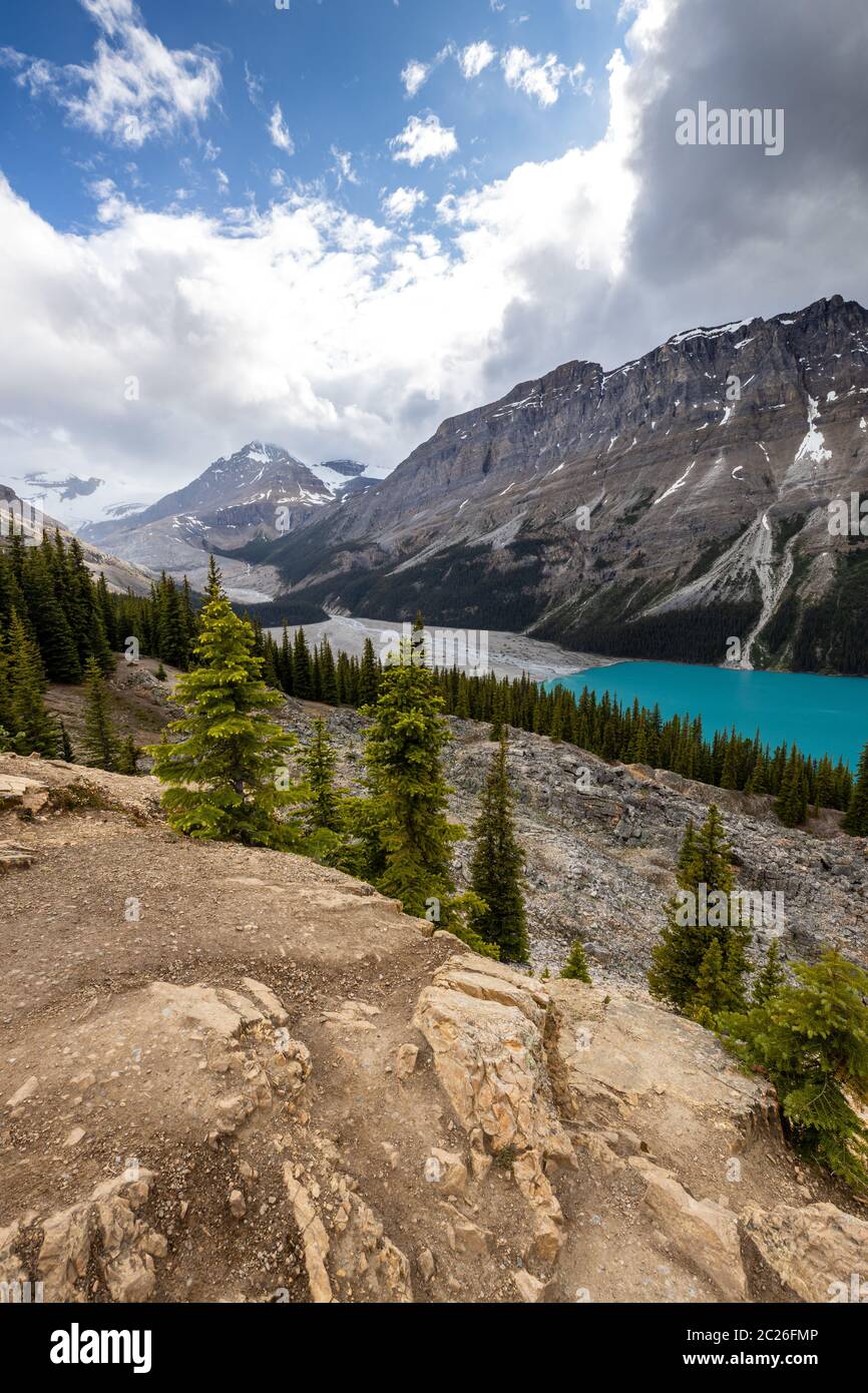 Lago Peyto del Parque Nacional Banff en Canadá Foto de stock