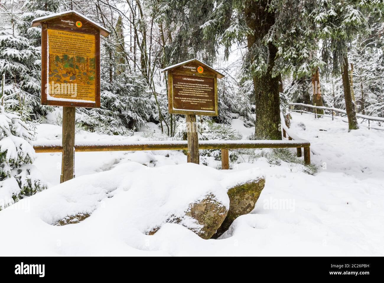 El Parque Nacional de Harz Oderteich en invierno Foto de stock