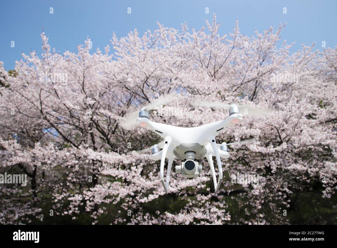 drone,vuelo,aire,flor de cerezo,cielo azul,aéreo,paisaje,japonés Foto de stock