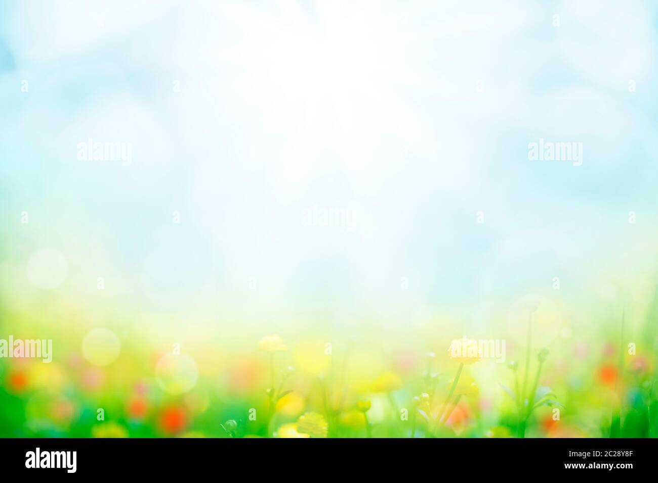 fondo abstracto con césped verde y flores sobre cielo azul soleado Foto de stock