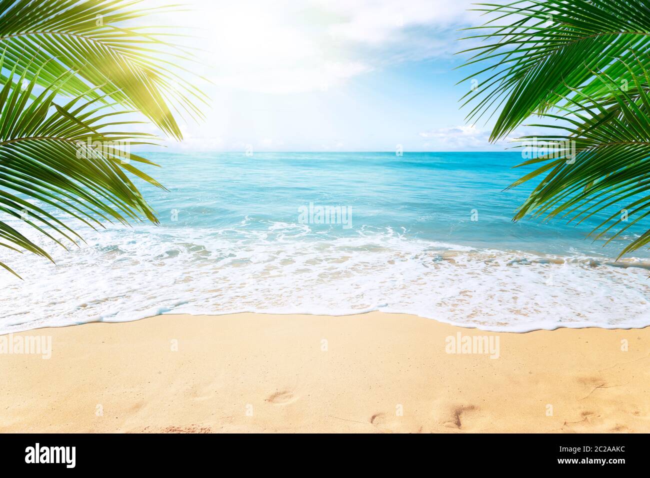 Soleada playa tropical con palmeras Foto de stock