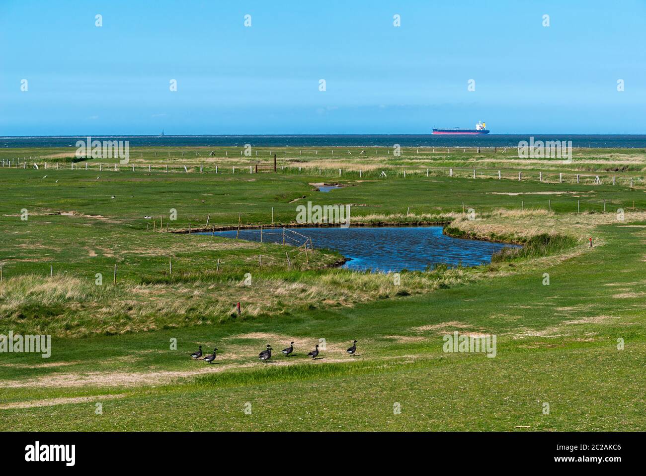 Isla de Neuwerk, Mar del Norte, en el Mar de Wadden, Estado Federal de Hamburgo, Patrimonio de la Humanidad de la UNESCO, Zona II del Parque Nacional, Alemania del Norte, Europa Foto de stock