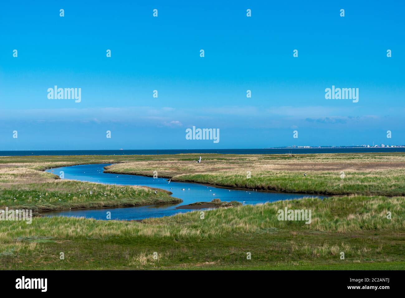 Isla de Neuwerk, Mar del Norte, en el Mar de Wadden, Estado Federal de Hamburgo, Patrimonio de la Humanidad de la UNESCO, Zona I del Parque Nacional, Alemania del Norte, Europa Foto de stock