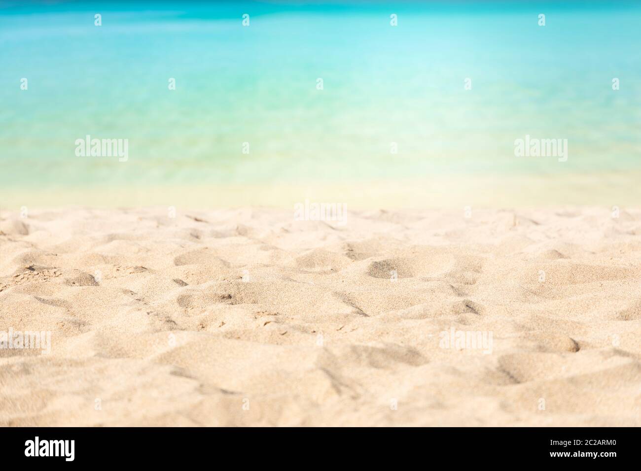 Soleada playa tropical caribeña con palmeras y aguas turquesas Foto de stock