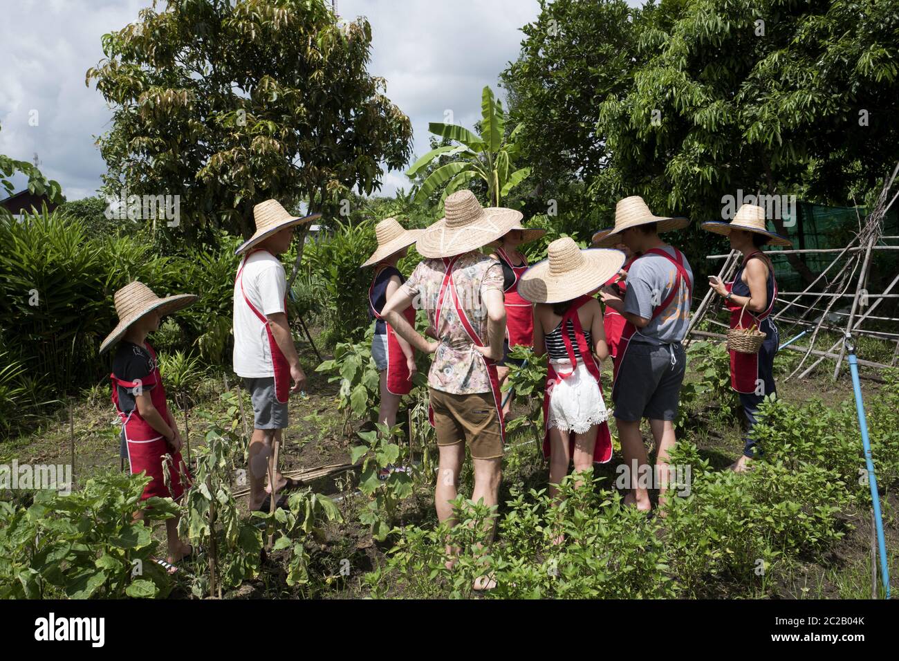 Turistas que visten el sombrero de un granjero haciendo un recorrido por el jardín de verduras, durante una clase de cocina tailandesa, Chang Mai. Foto de stock