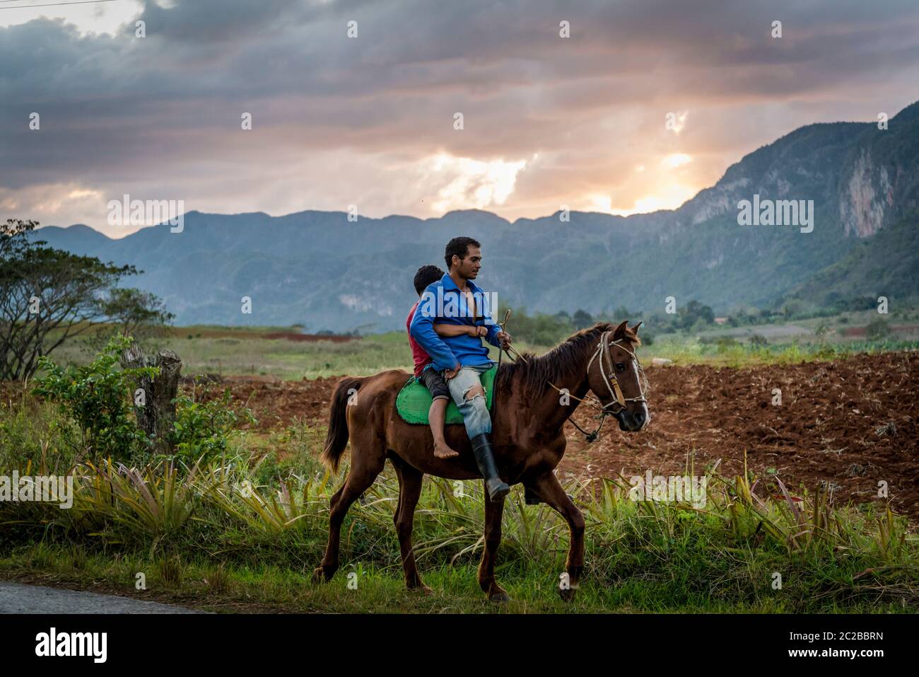 Cabalgata de padre e hijo al atardecer en el Valle de Vinales, Cuba Foto de stock