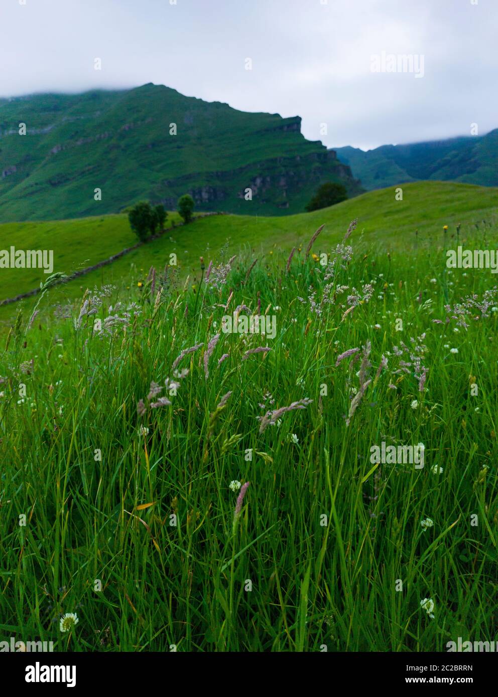 Paisaje primaveral de cabañas y prados de pasíegas en el Valle de Miera en la Comunidad Autónoma de Cantabria. España, Europa Foto de stock