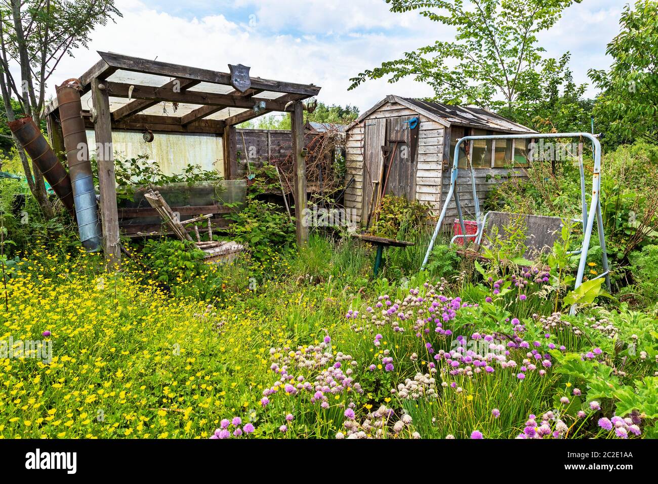 Terreno de cultivo con flores silvestres, cabaña de madera y asiento de jardín abandonado, asignaciones de Growers de Eglinton, Kilwinning, Ayrshire, Escocia, Reino Unido Foto de stock