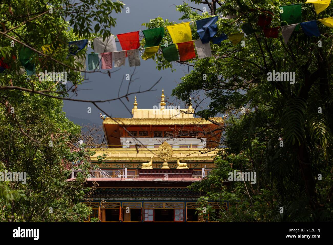 El techo del templo budista en el instituto Norbulinka en Dharamsala India Foto de stock