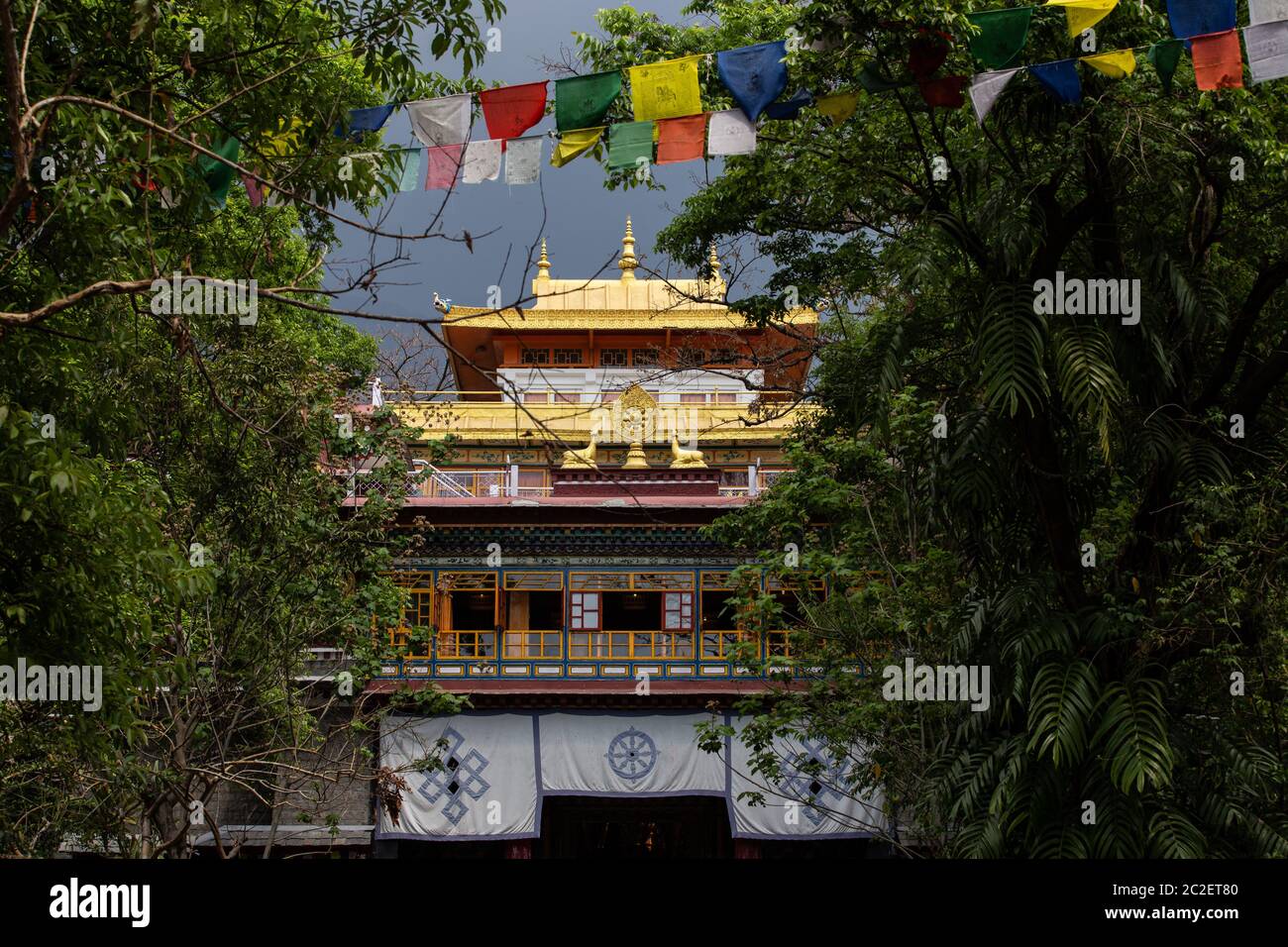 El techo del templo budista en el instituto Norbulinka en Dharamsala India Foto de stock