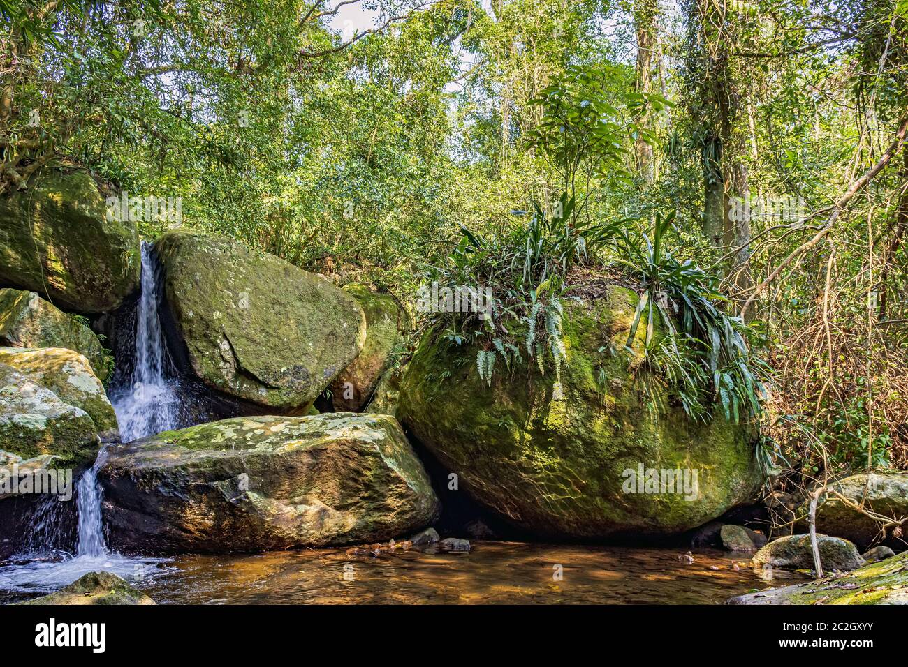 Cascada entre la vegetación de la selva tropical de la isla Ilhabela Foto de stock