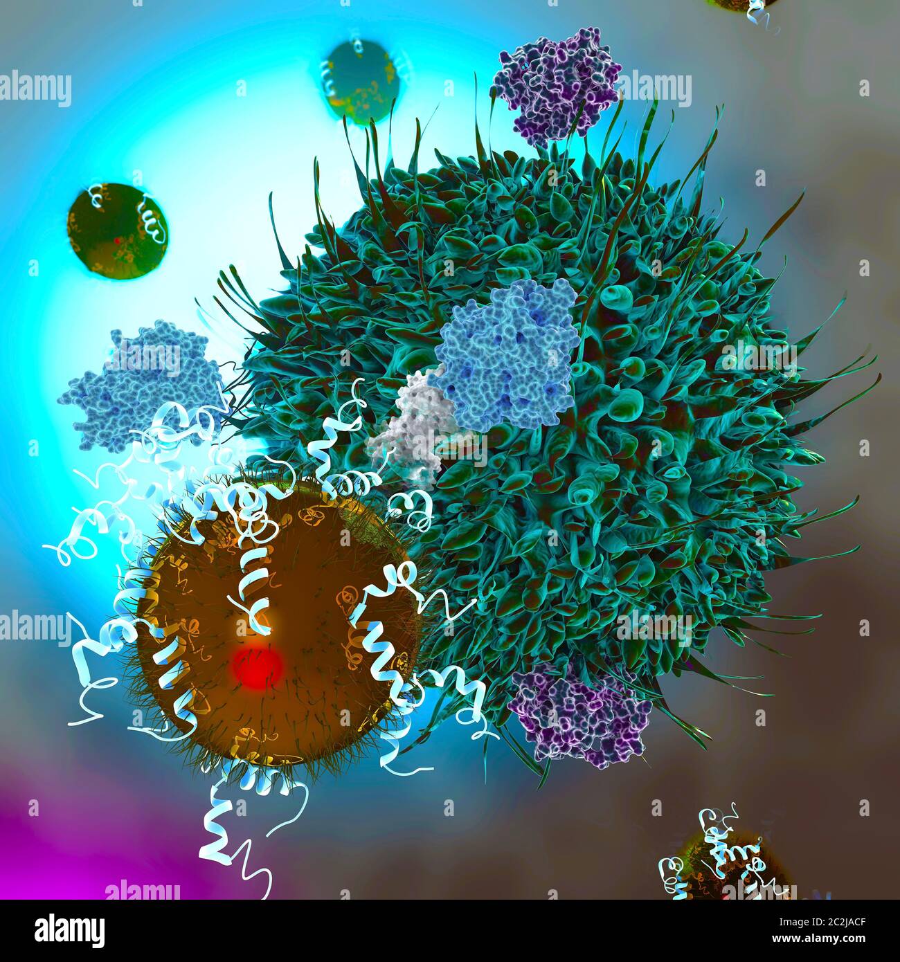 Ilustración de nanopartículas de oro que interactúan con una célula T. Las células T, o Ilustración de nanopartículas de oro que interactúan con una célula T. Las células T, o