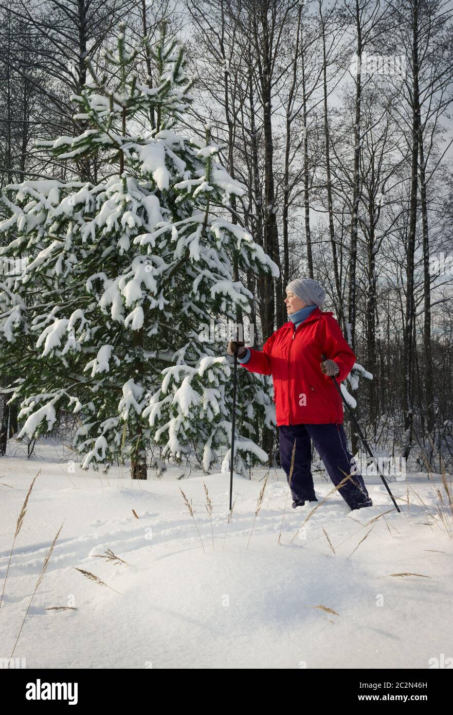 Mujer, europeos, invierno en el bosque Foto de stock
