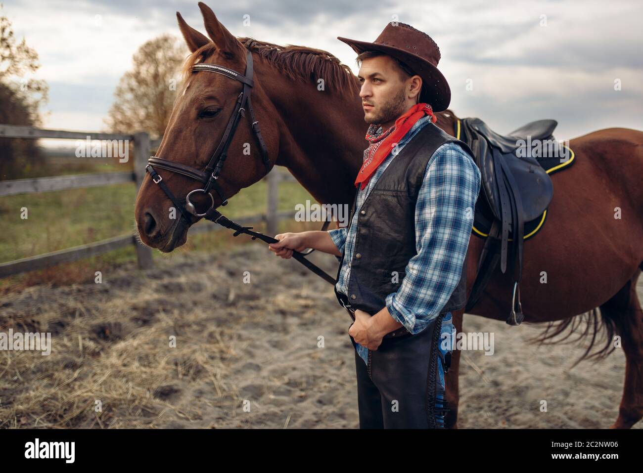 Cowboy en jeans y chaqueta de cuero plantea a caballo en la granja de  Texas, occidental. Vintage persona de sexo masculino con el animal, la  cultura americana Fotografía de stock - Alamy