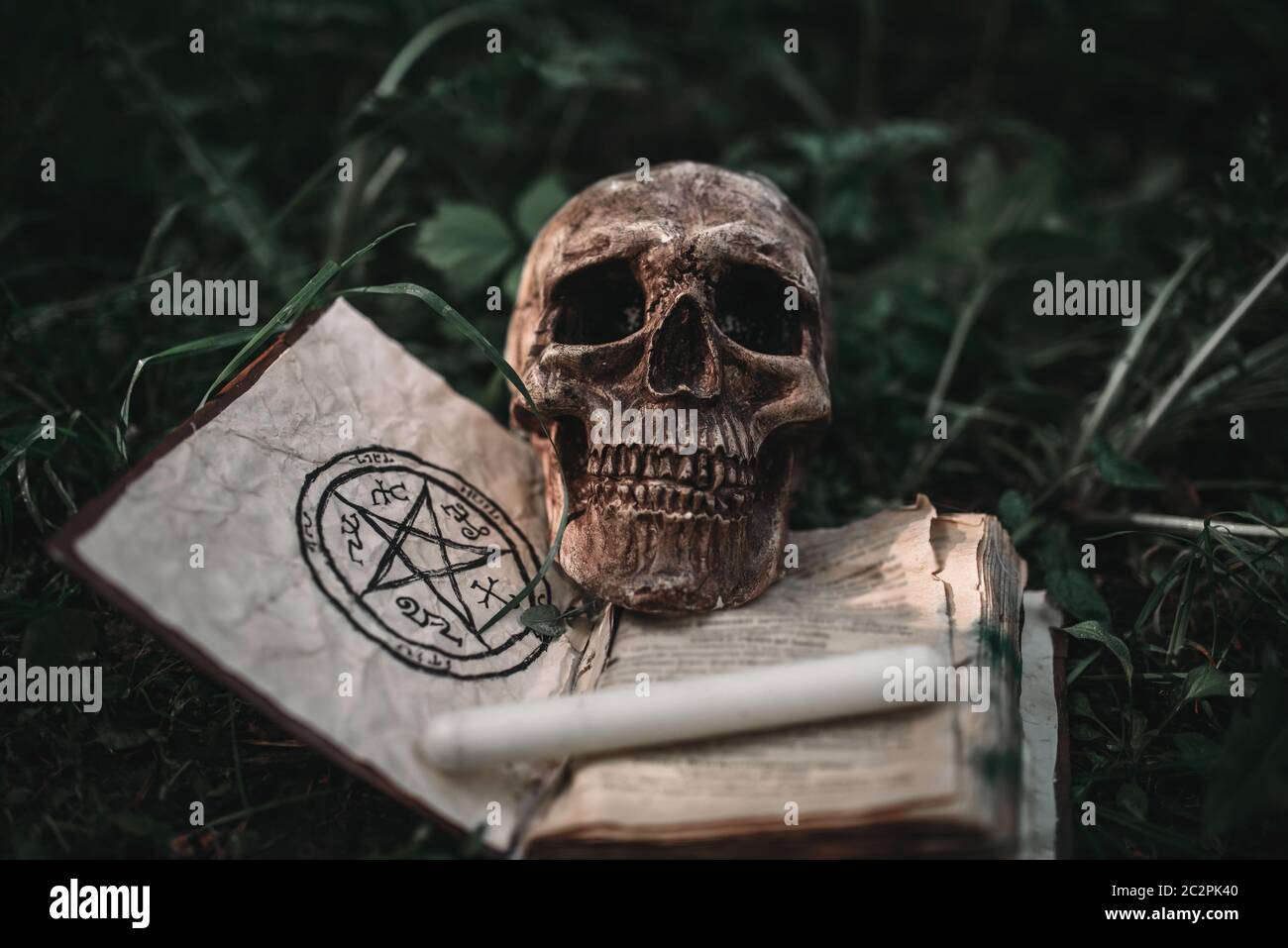 Abrir libro de magia negra con símbolos ocultos y cráneo humano sobre la hierba en el bosque. Exorcismo y rituales sobrenaturales Foto de stock
